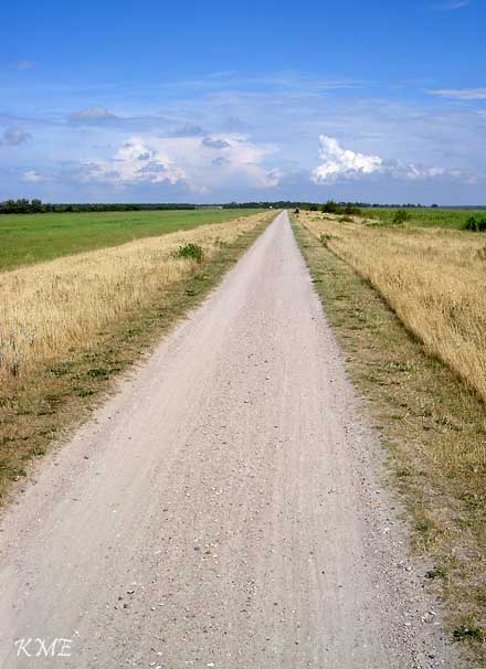 Tyskland_laaang_rett_vei