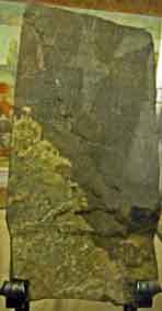 USA_Kensingtonrunestenen