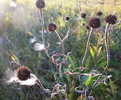 USA_Minnesota_Fort_Juelson