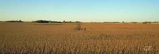 USA_Minnesota_aakerland