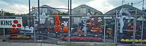 USA_New_York_Halloween