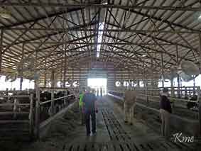 Minnesota_Sunburg_Gjerde_farm
