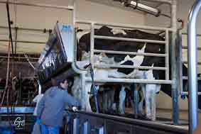 Minnesota_Sunburg_Gjerde_farm