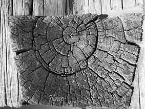 Minnesota_Sunburg_Old_Log_church