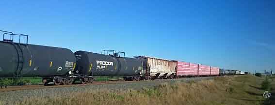 Minnesota_train