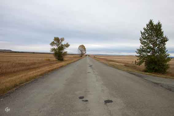Montana_Melville