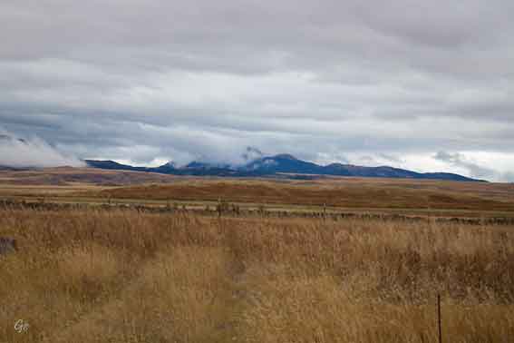 Montana_Melville_