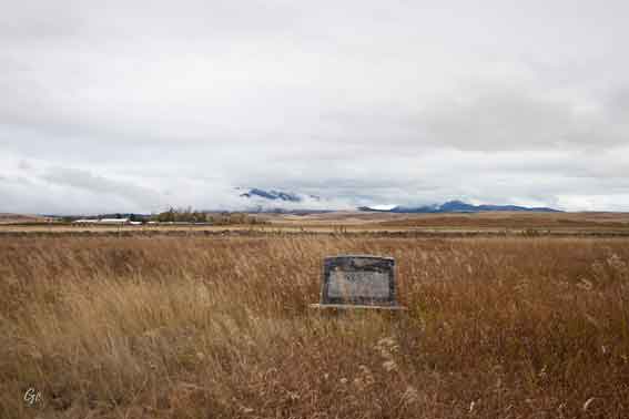 Montana_Melville