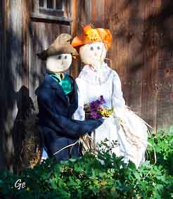 Wisconsin_Norskedalen