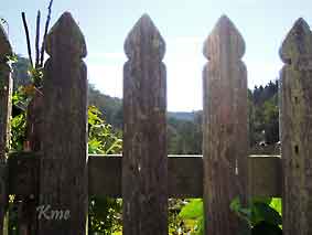 Wisconsin_Norskedalen