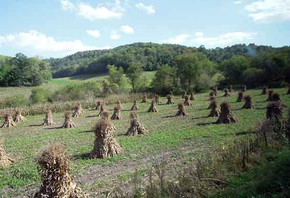 Wisconsin_Amish-land