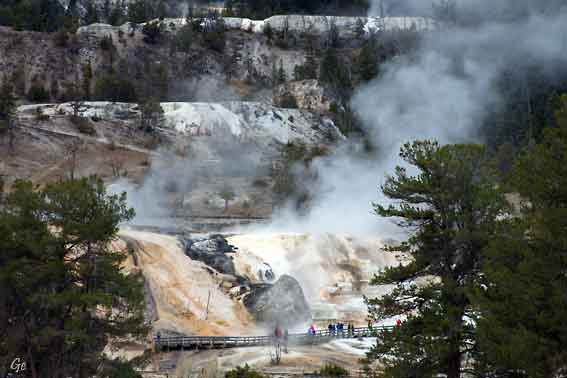Wyoming_Yellowstone_National_Park