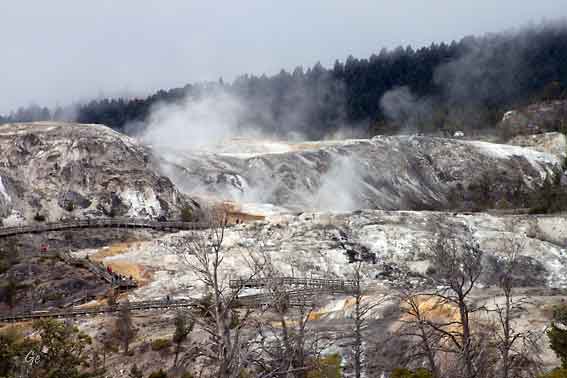 Wyoming_Yellowstone_National_Park