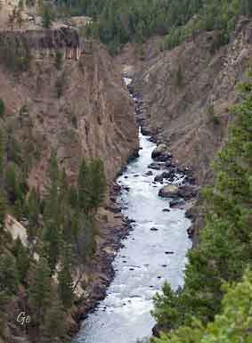 Wyoming_Yellowstone_National_Park