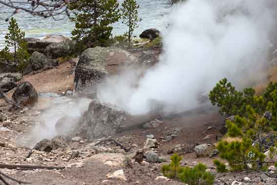 Wyoming_Yellowstone_National_Park