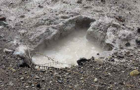 Wyoming_Yellowstone_National_Park_mud_volcano