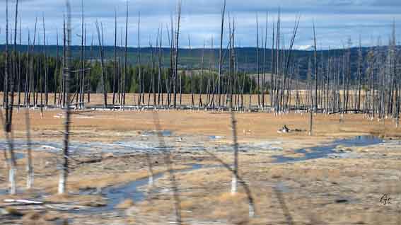 Wyoming_Yellowstone_National_Park
