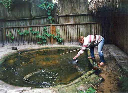 Florida_Native-Village