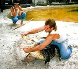 Florida_Native-Village