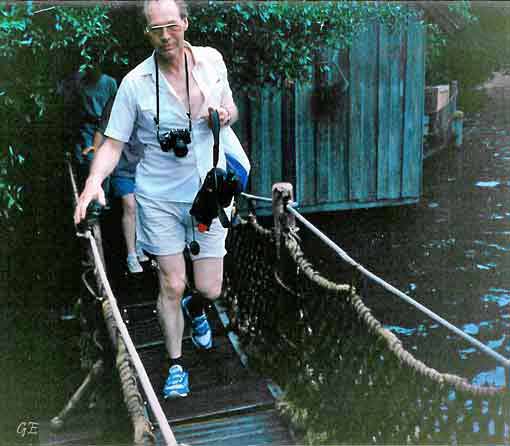 Florida_Orlando_Magic_Kingdom