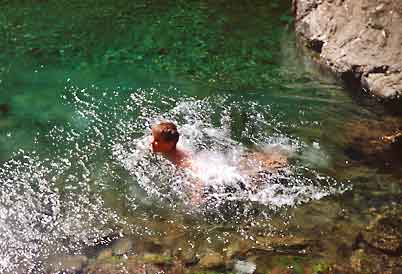 Aurlandsdalen_Osterbo-Aurland_Aurlandselva