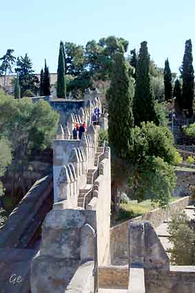 Spania_Malaga_Gibralfaro_murene