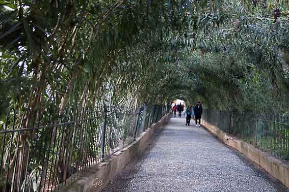 Spania_Granada_Alhambra_Generalife