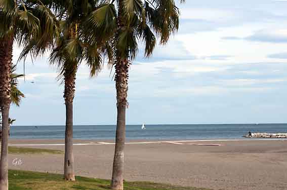 Spania_Malaga_Malagueta