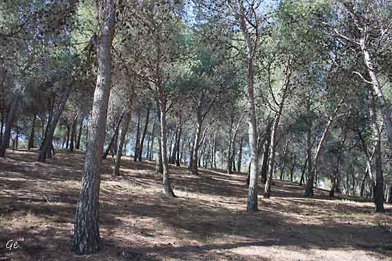Spania_Malaga_Monte_Gibralfaro